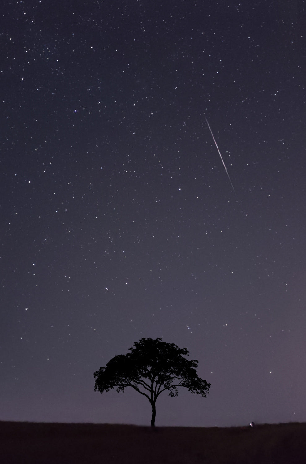 Meteor shower Poster och Canvastavla