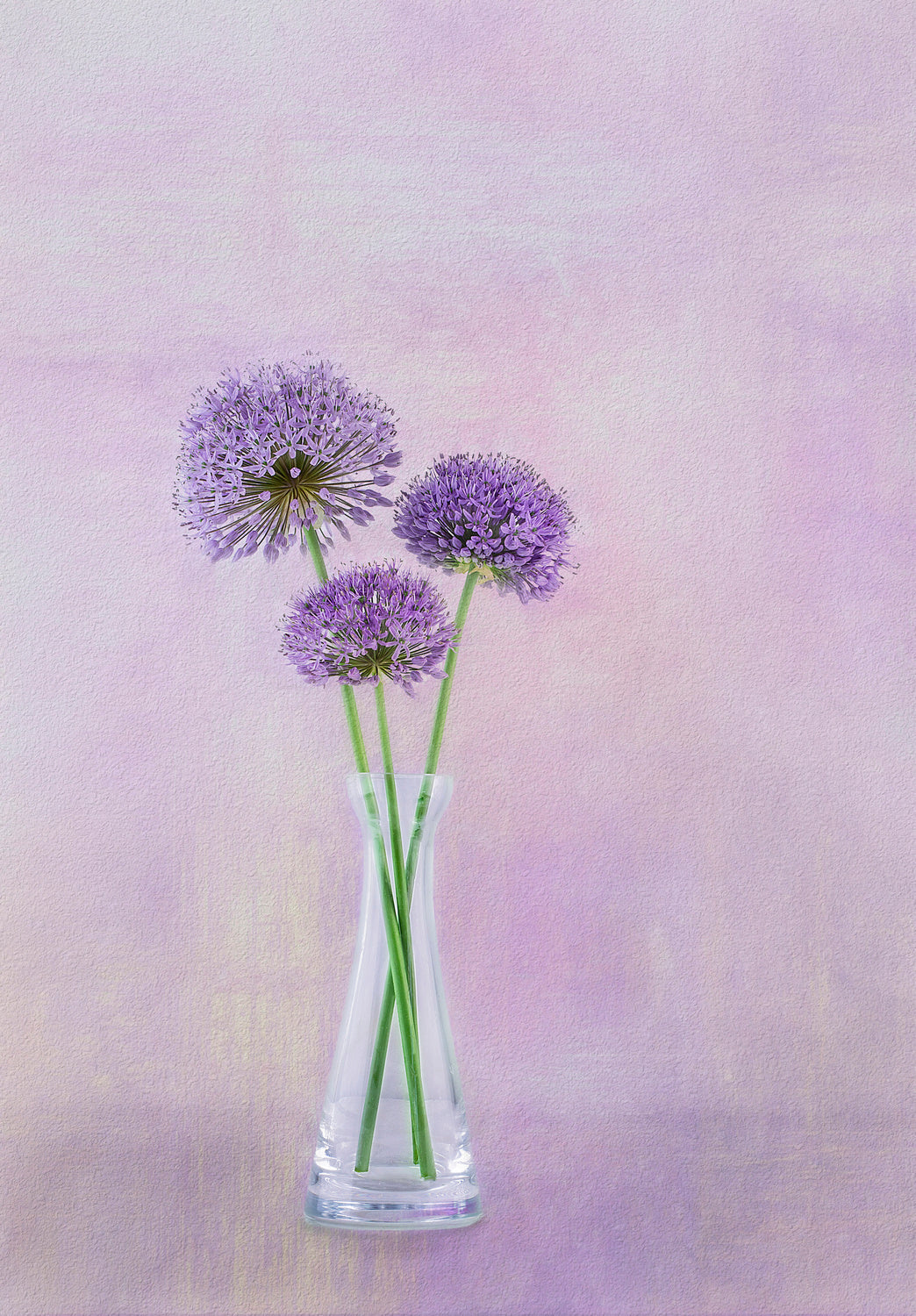 3 Allium Poster och Canvastavla