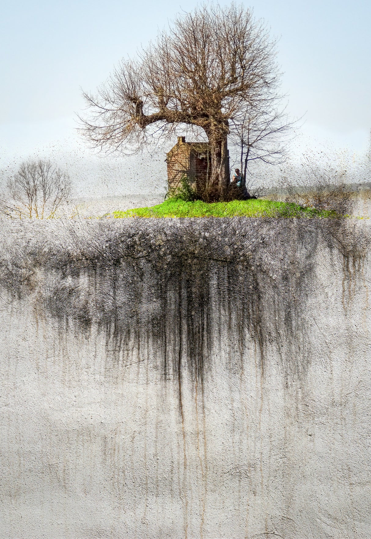 Roots Poster och Canvastavla