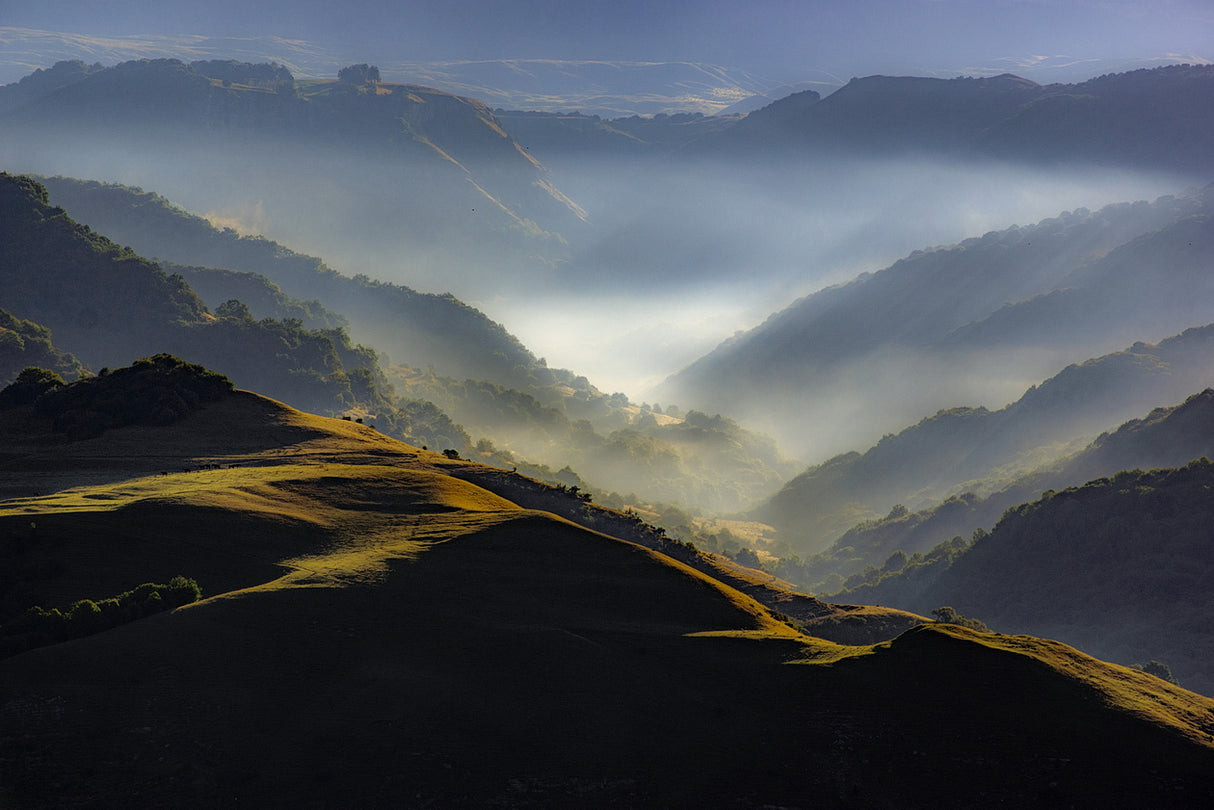 MISTY MORNING Poster och Canvastavla
