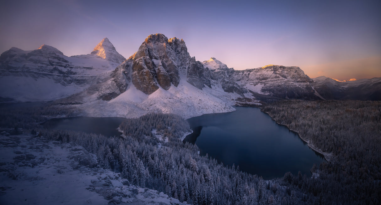 Mount Assiniboine's Glory Poster och Canvastavla