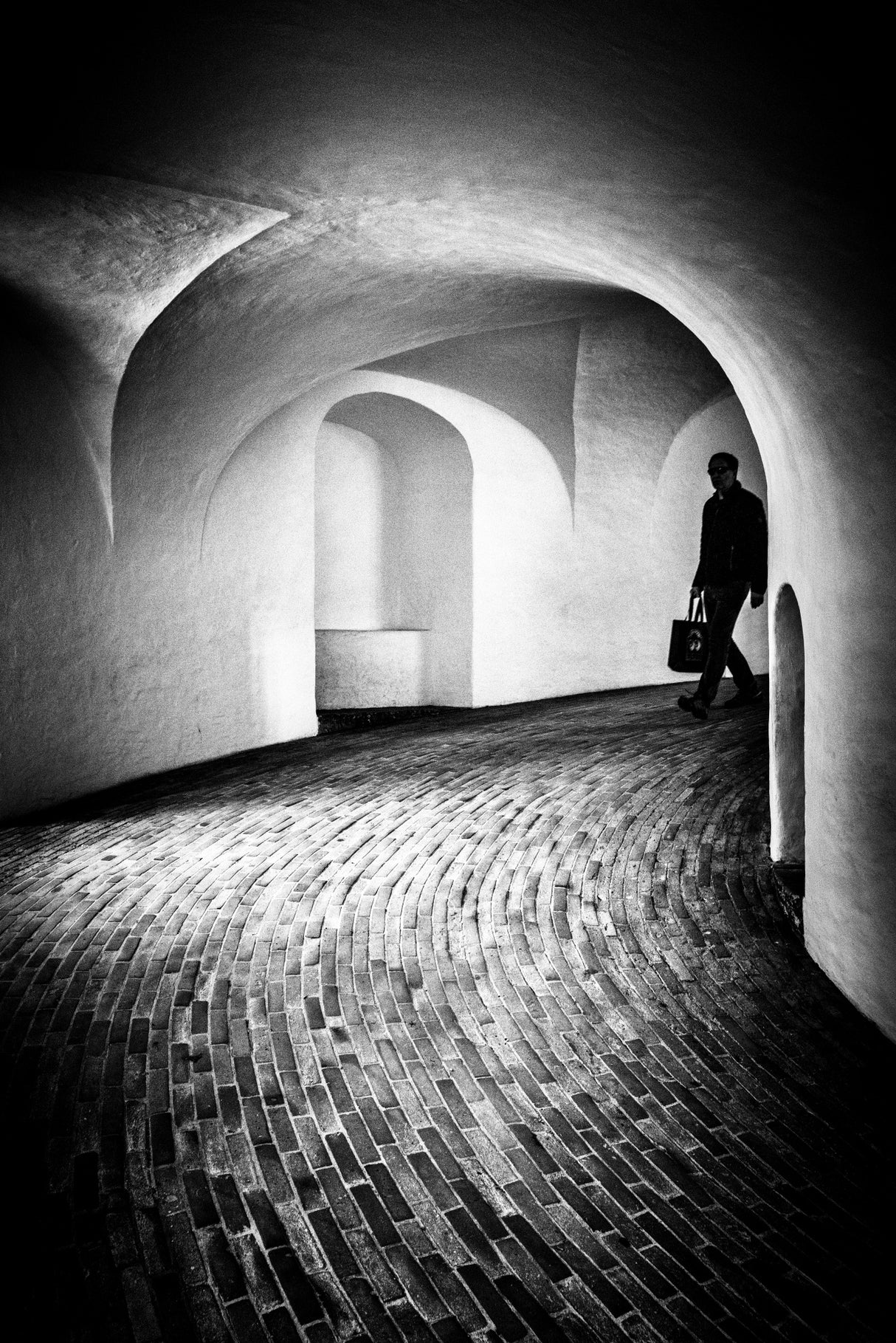 Copenhagen BW - study I Poster och Canvastavla