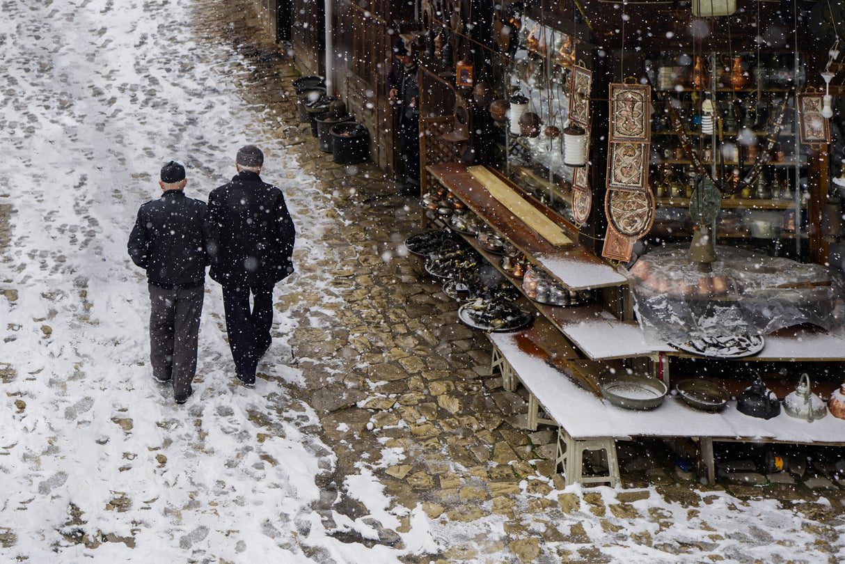 walking in the snow Poster och Canvastavla