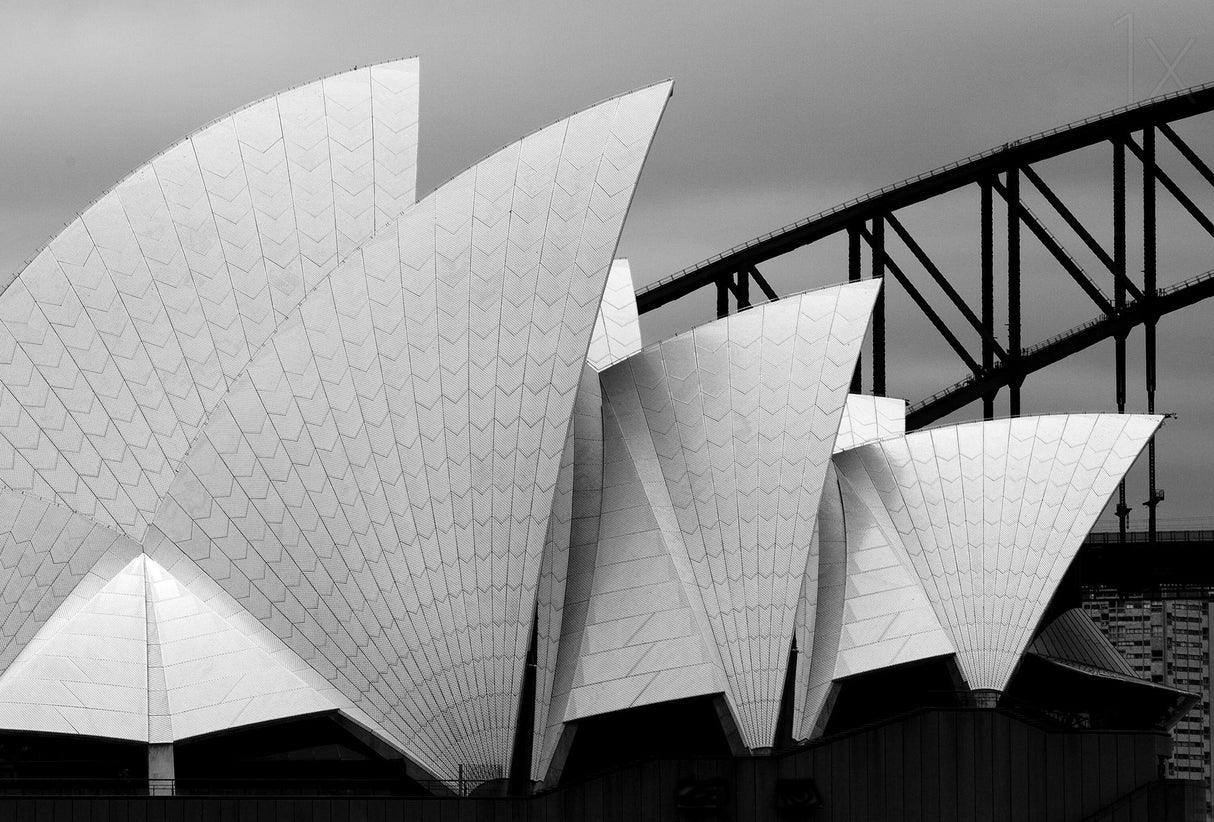 Opera house Sydney Poster och Canvastavla