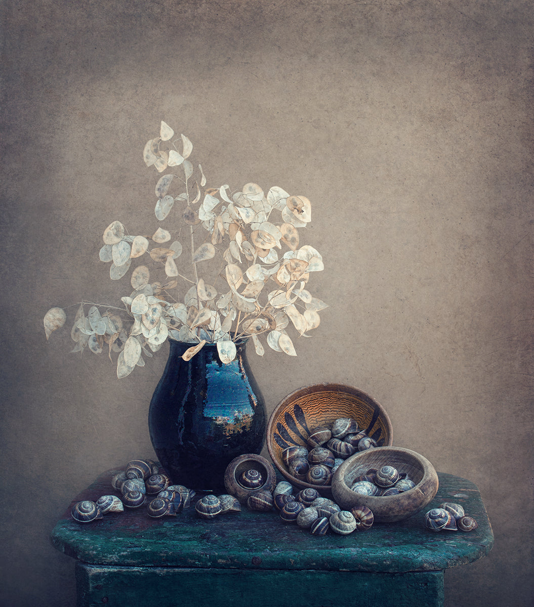 Still life with a lunaria and snails Poster och Canvastavla