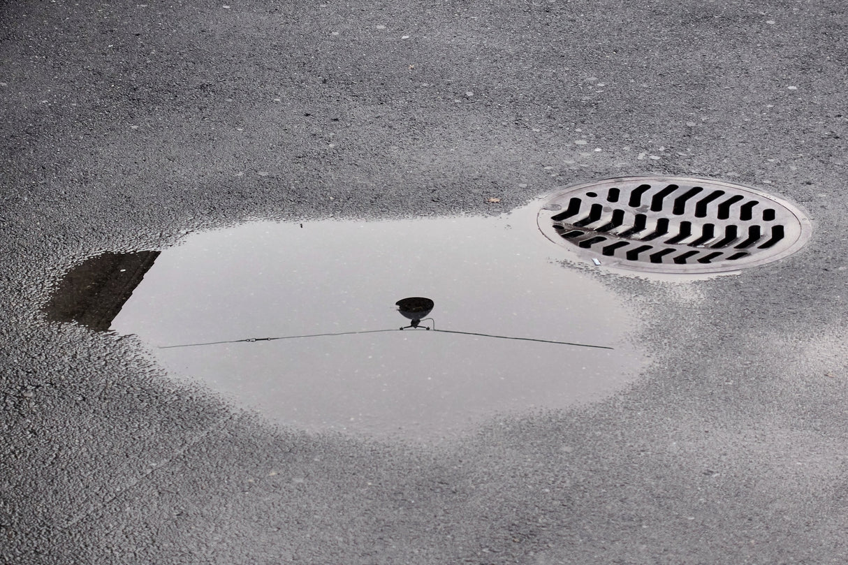 Reflection on/of a Streetlight Poster och Canvastavla