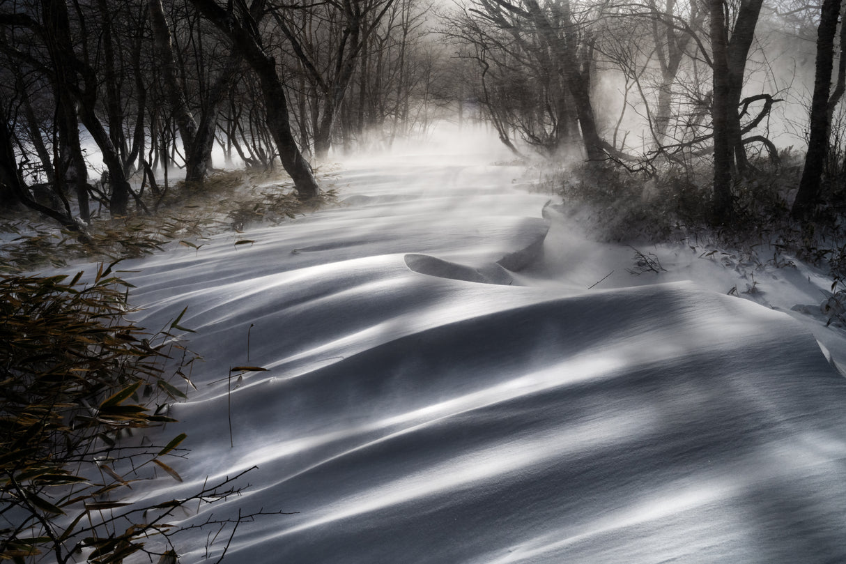a snow pattern that shines out Poster och Canvastavla
