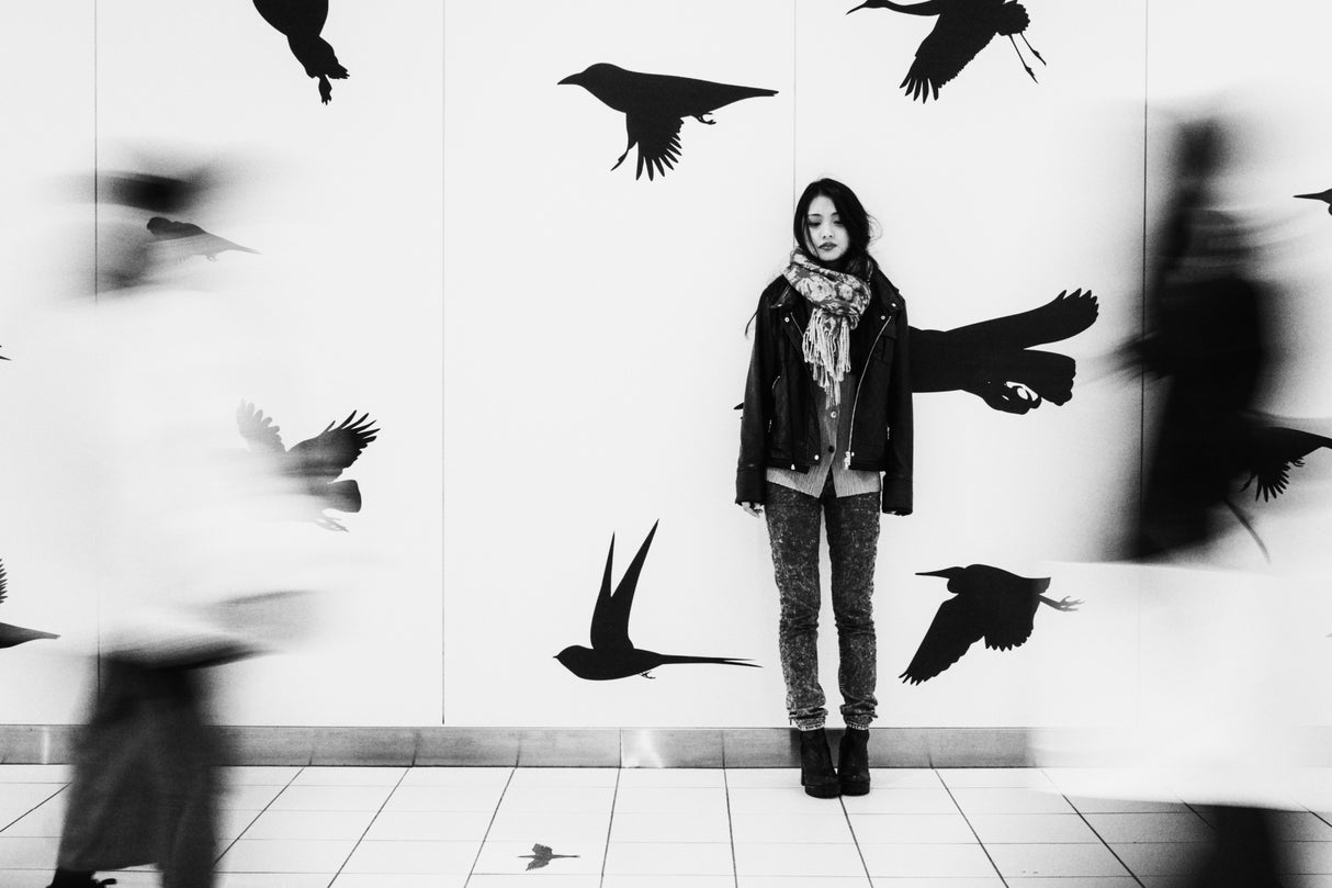 Fly away to somewhere Poster och Canvastavla