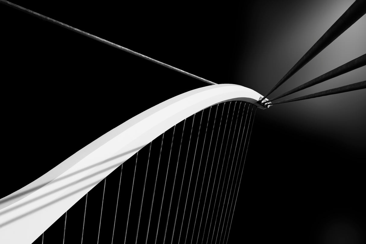 The harp Poster och Canvastavla