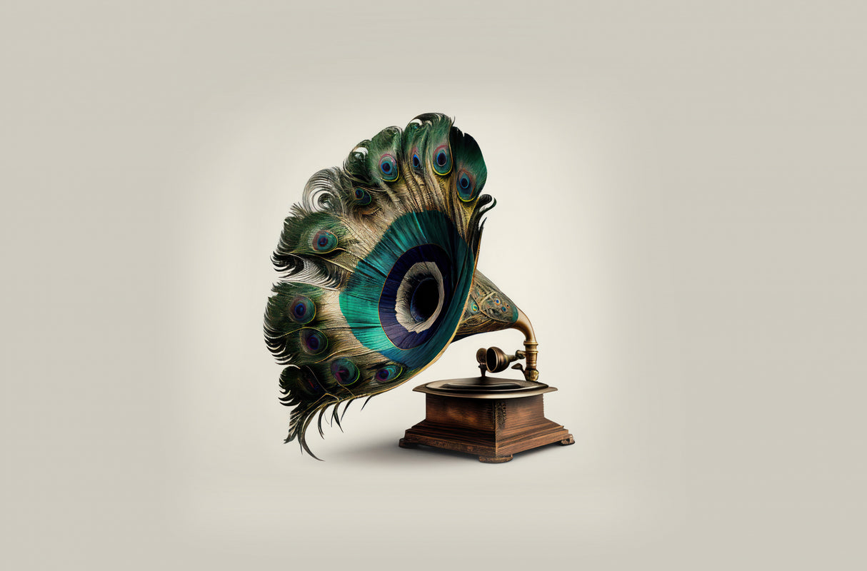 Peacock Gramaphone Poster och Canvastavla