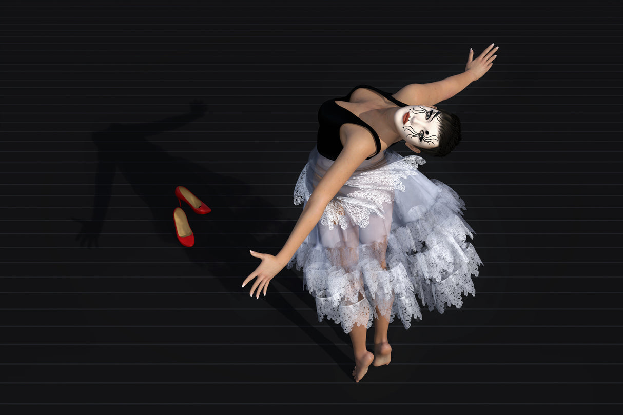 shadow dance Poster och Canvastavla