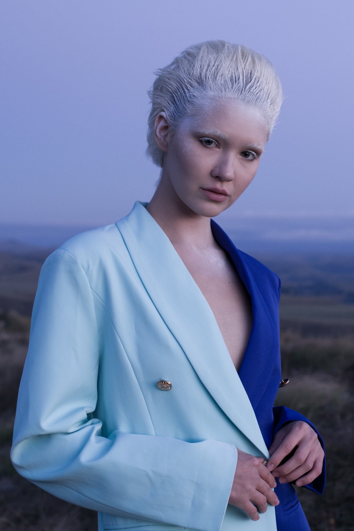 THE SNOW QUEEN Poster och Canvastavla