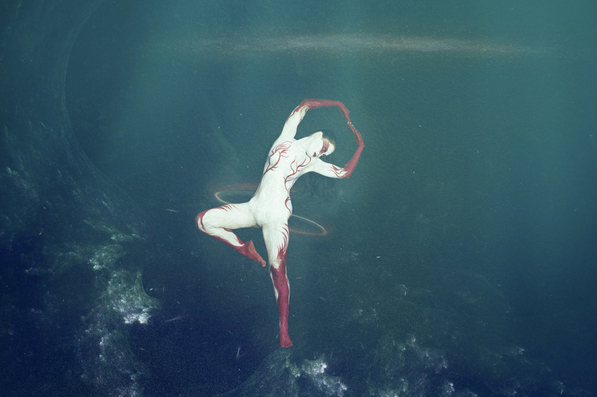 no limits for red swan Poster och Canvastavla