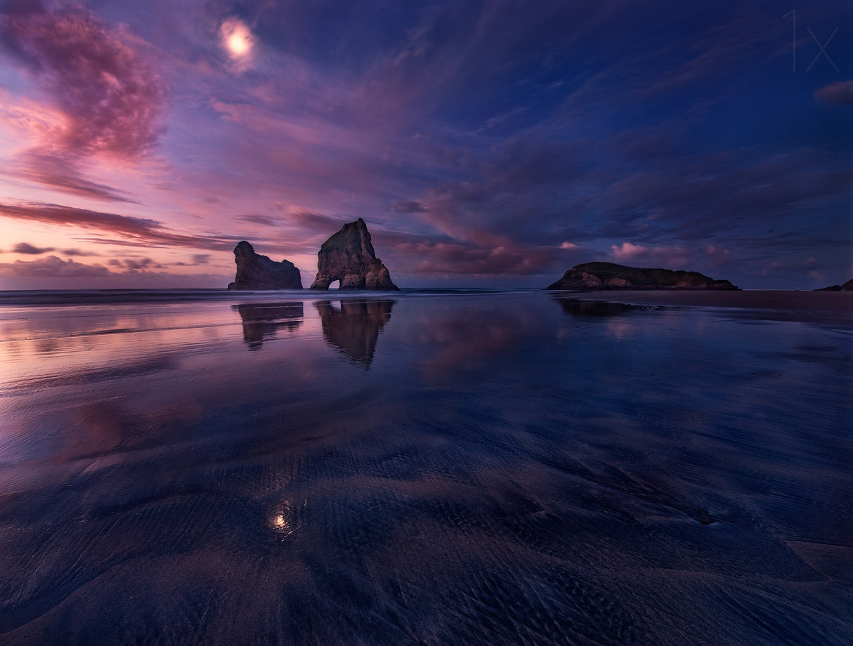 Golden Bay when Night Falls Poster och Canvastavla
