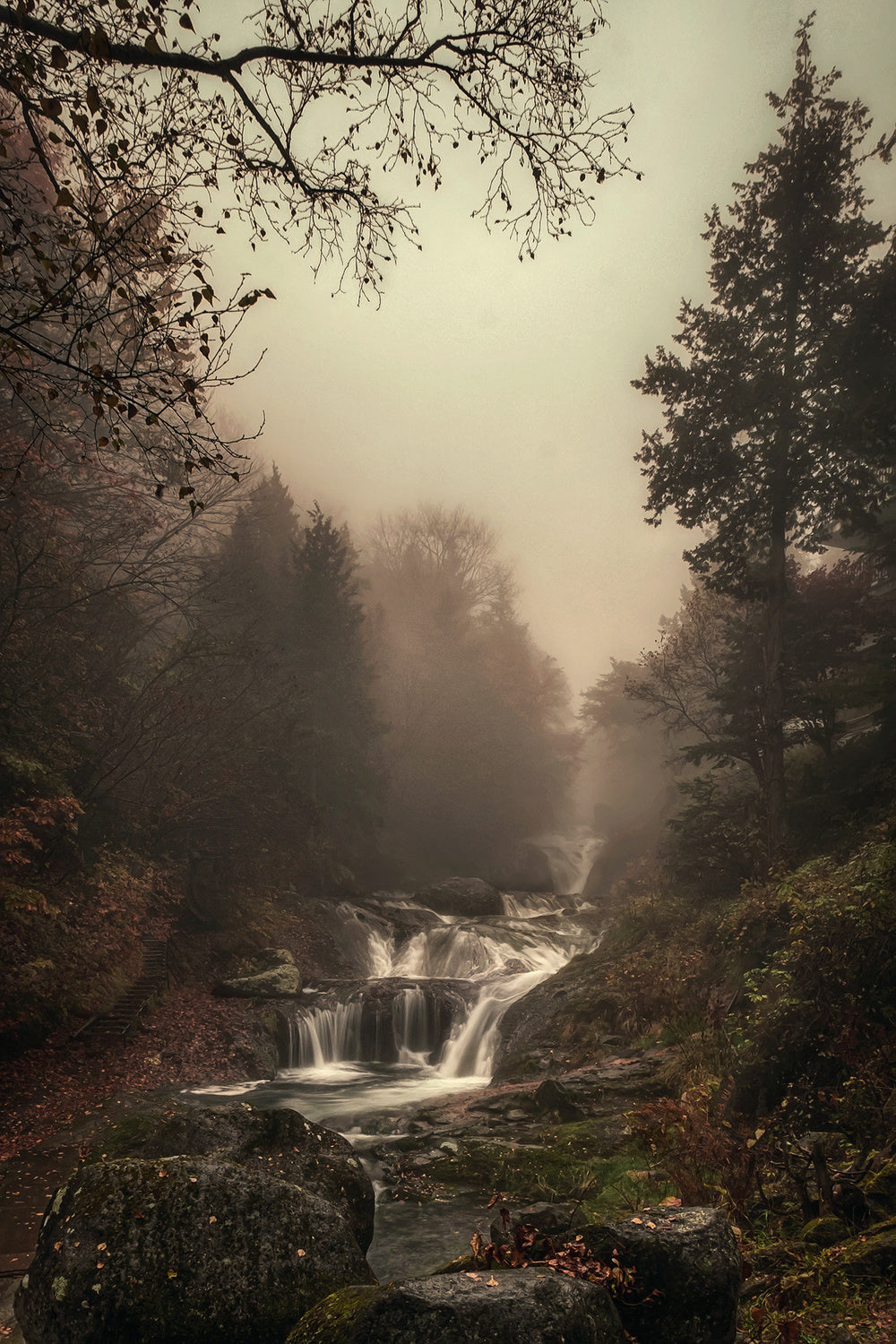 Misty Creek Poster och Canvastavla