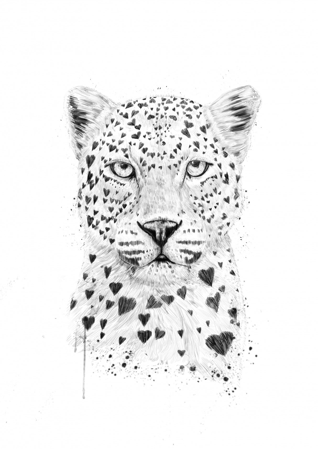 Lovely leopard Poster och Canvastavla