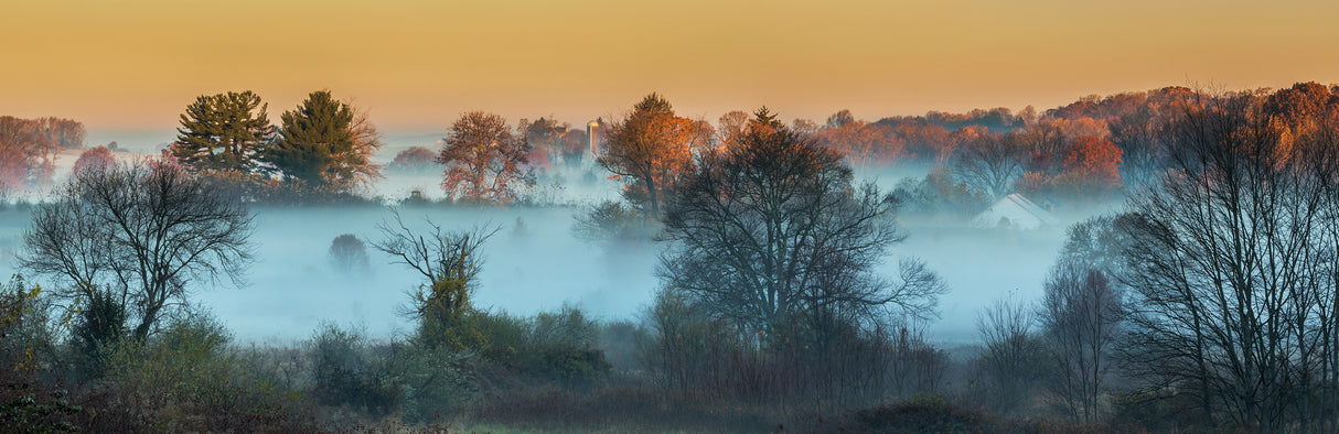 The Foggy Farm in Golden Light Poster och Canvastavla
