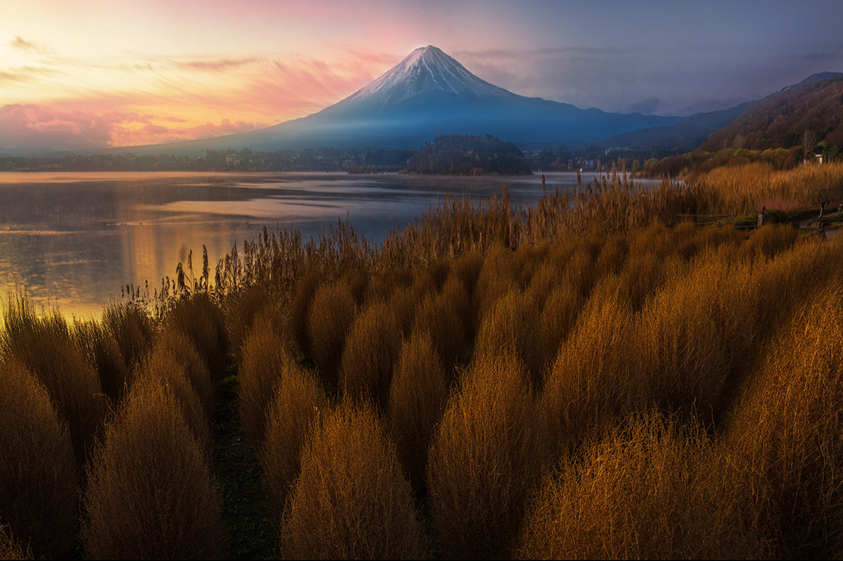Mt. Fuji in Fall Poster och Canvastavla