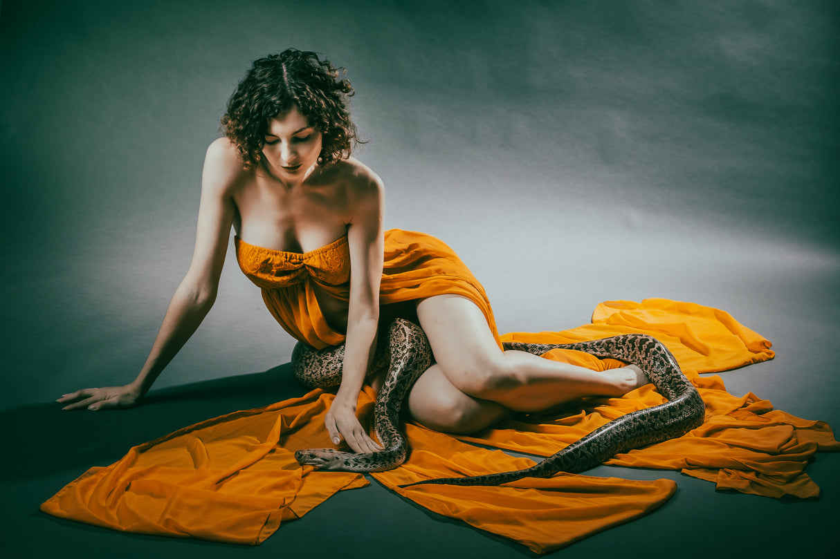 Sit with a snake Poster och Canvastavla