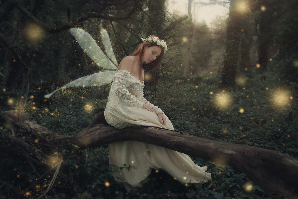 A fairy's wish Poster och Canvastavla