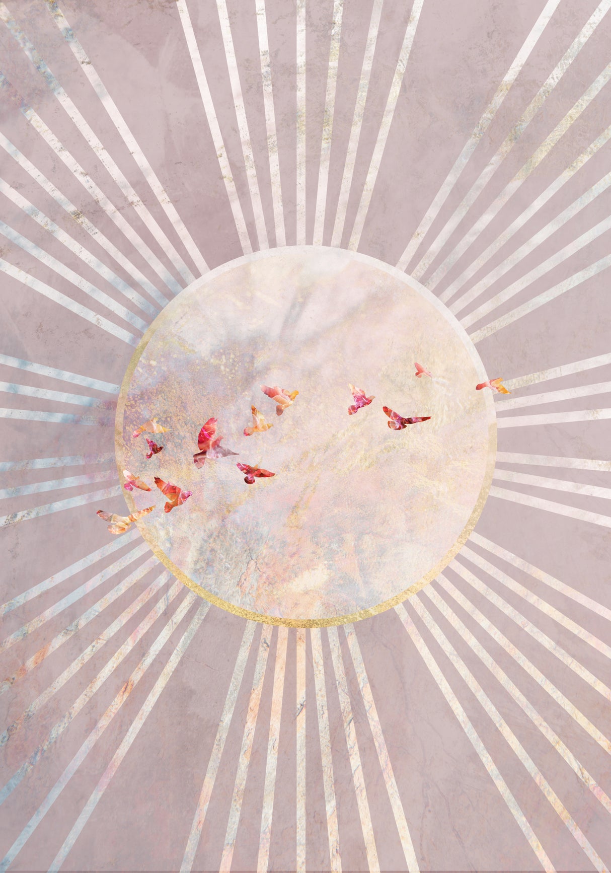 Sun birds pink Poster och Canvastavla