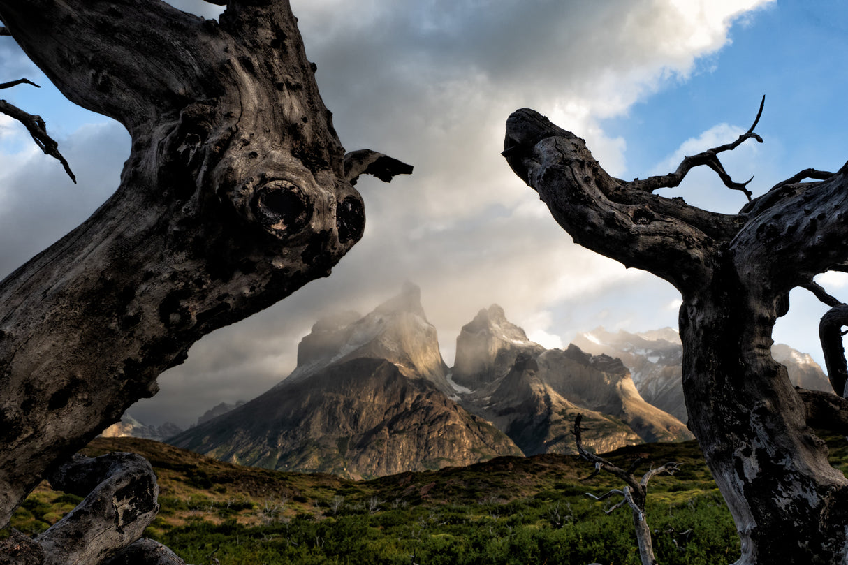 Framing Patagonia Poster och Canvastavla
