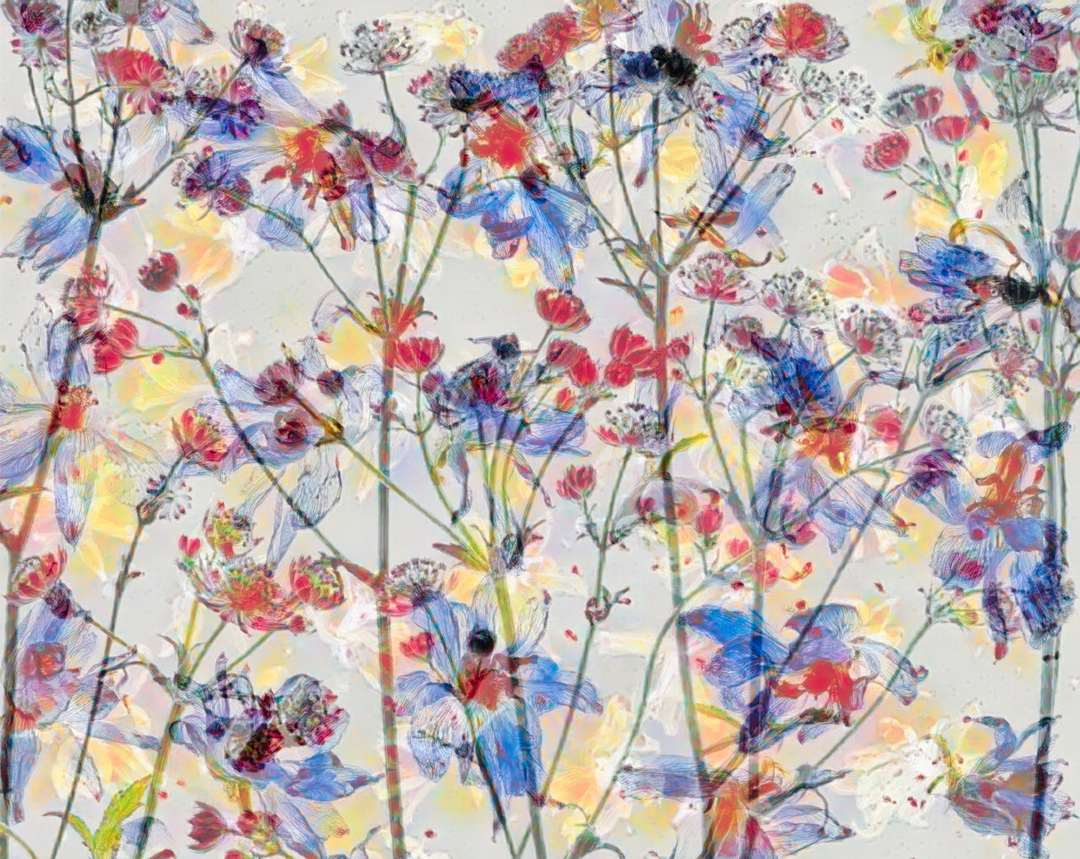 Painterly flowers. Poster och Canvastavla