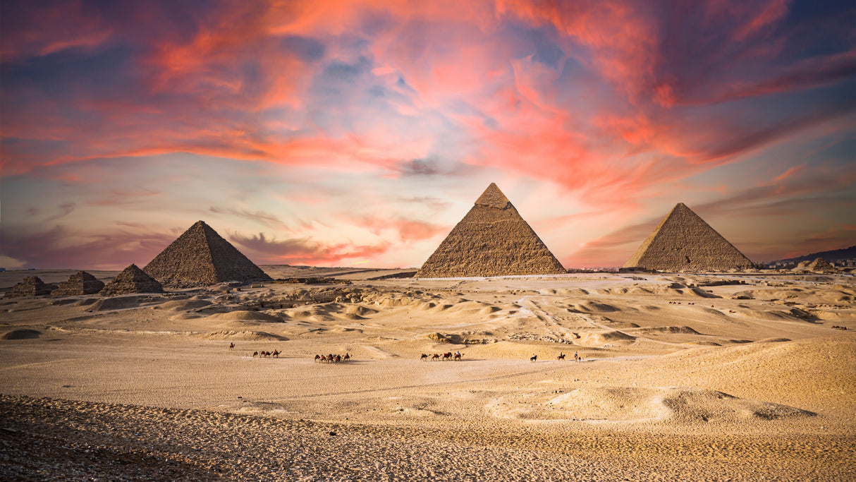 The 9 Pyramids of Giza Poster och Canvastavla