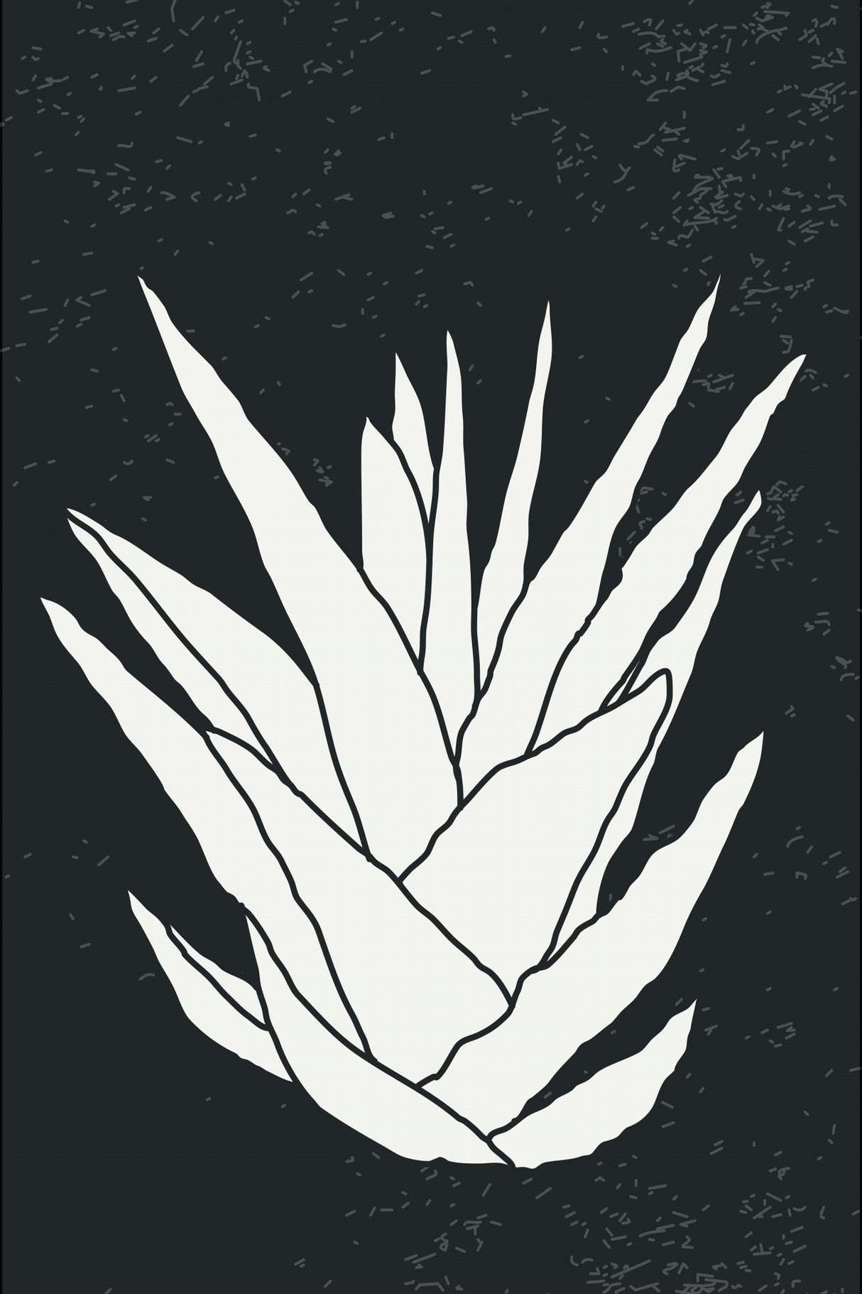 Agave #2 Poster och Canvastavla
