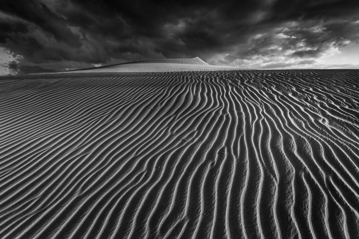 Lines of life.... Poster och Canvastavla