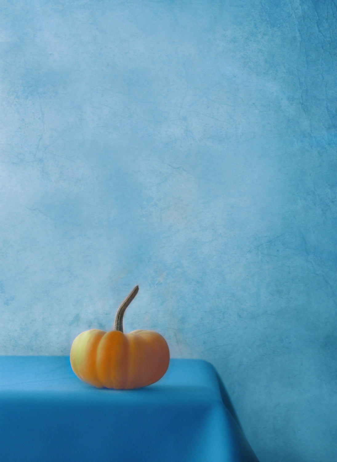 Pumpkin on Blue Poster och Canvastavla