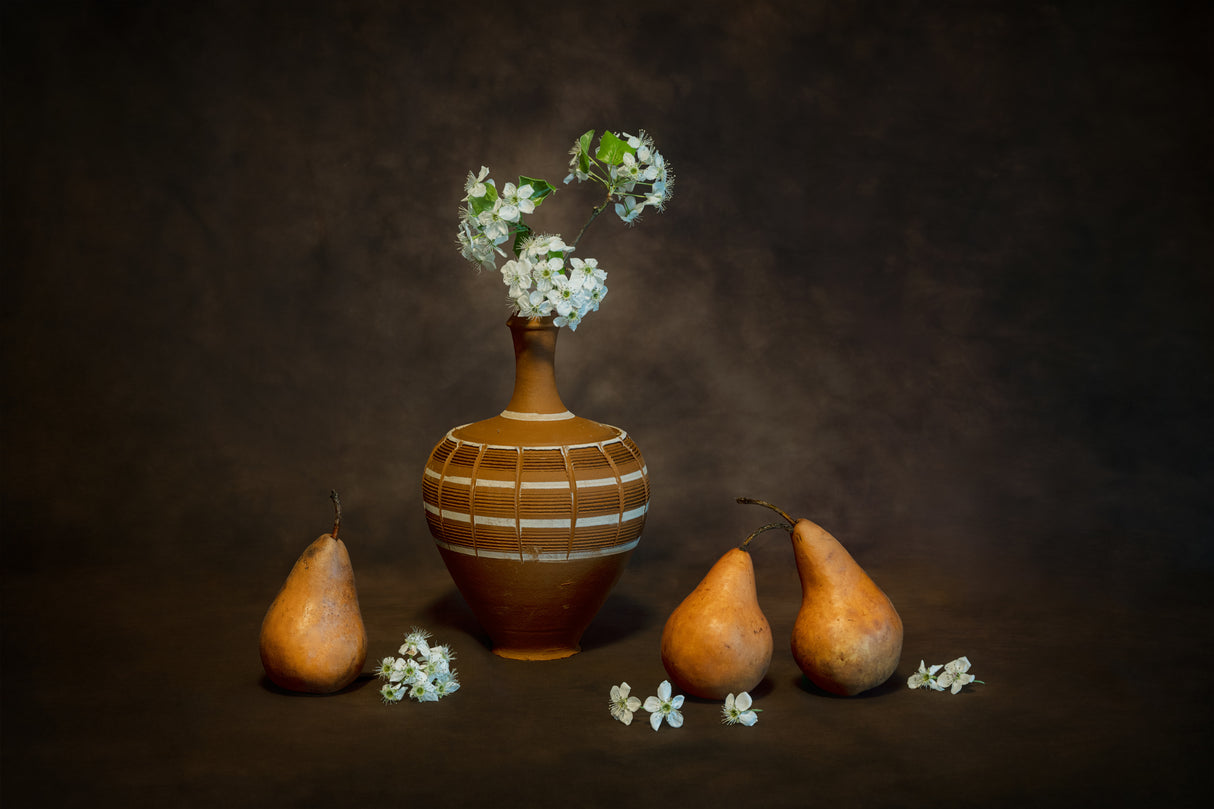 Pears Life Cycle Poster och Canvastavla