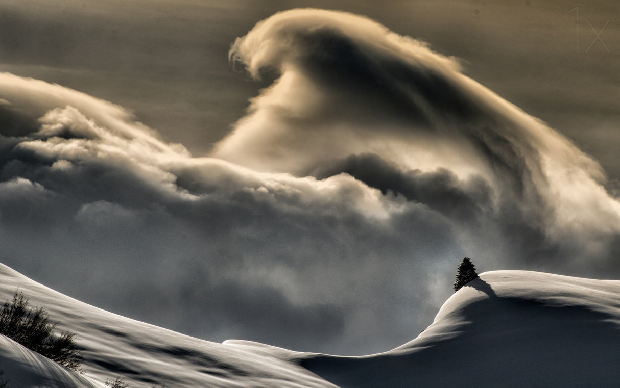 Wine cloud Poster och Canvastavla