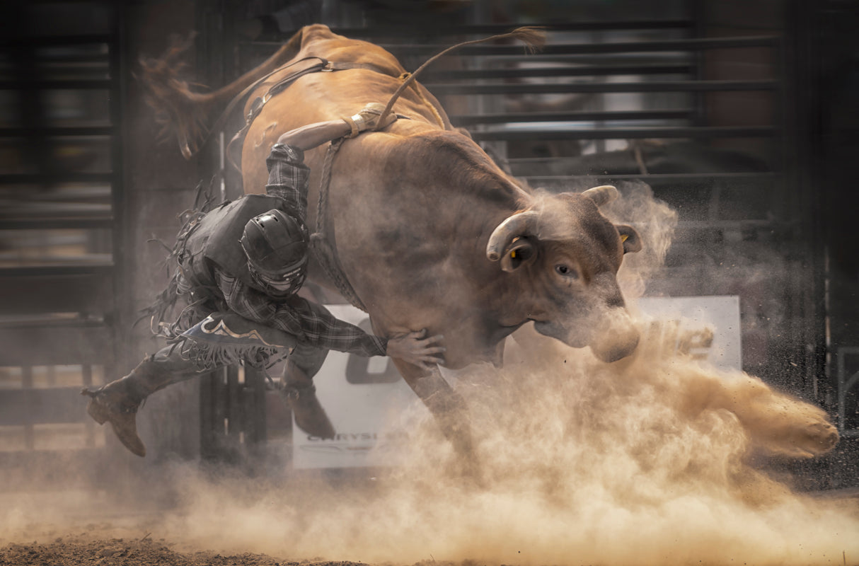 Orangeville RAM Rodeo Poster och Canvastavla