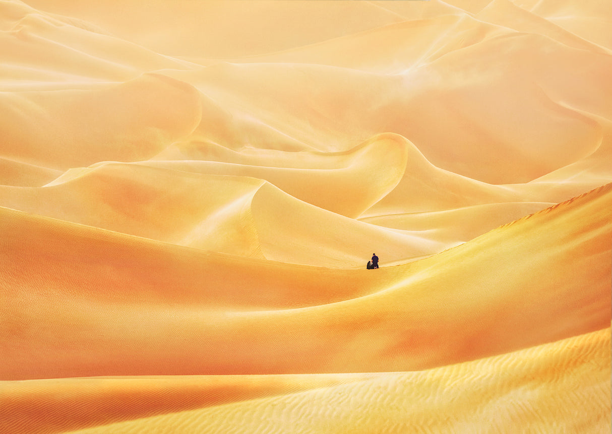Golden Dunes in The Arabian Desert Poster och Canvastavla