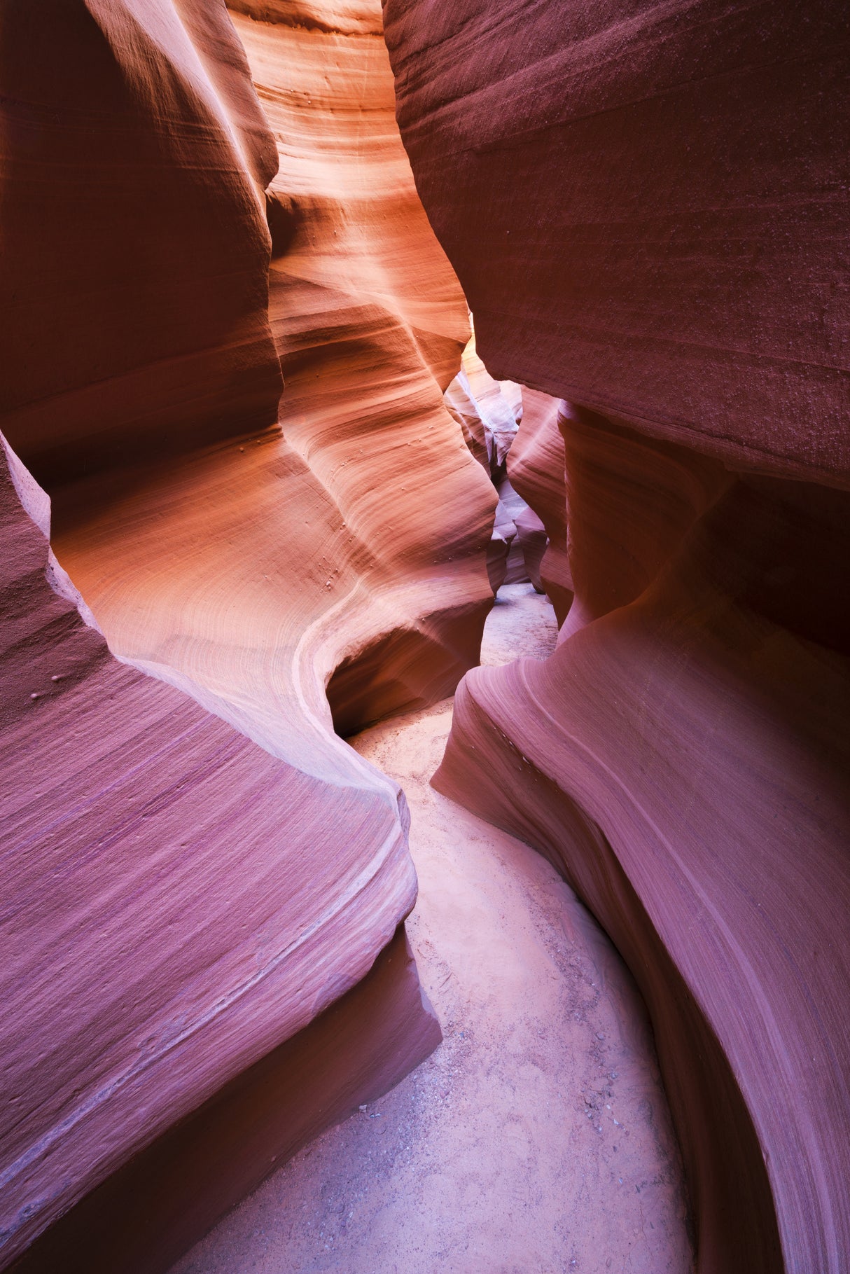 Purple Canyon Poster och Canvastavla