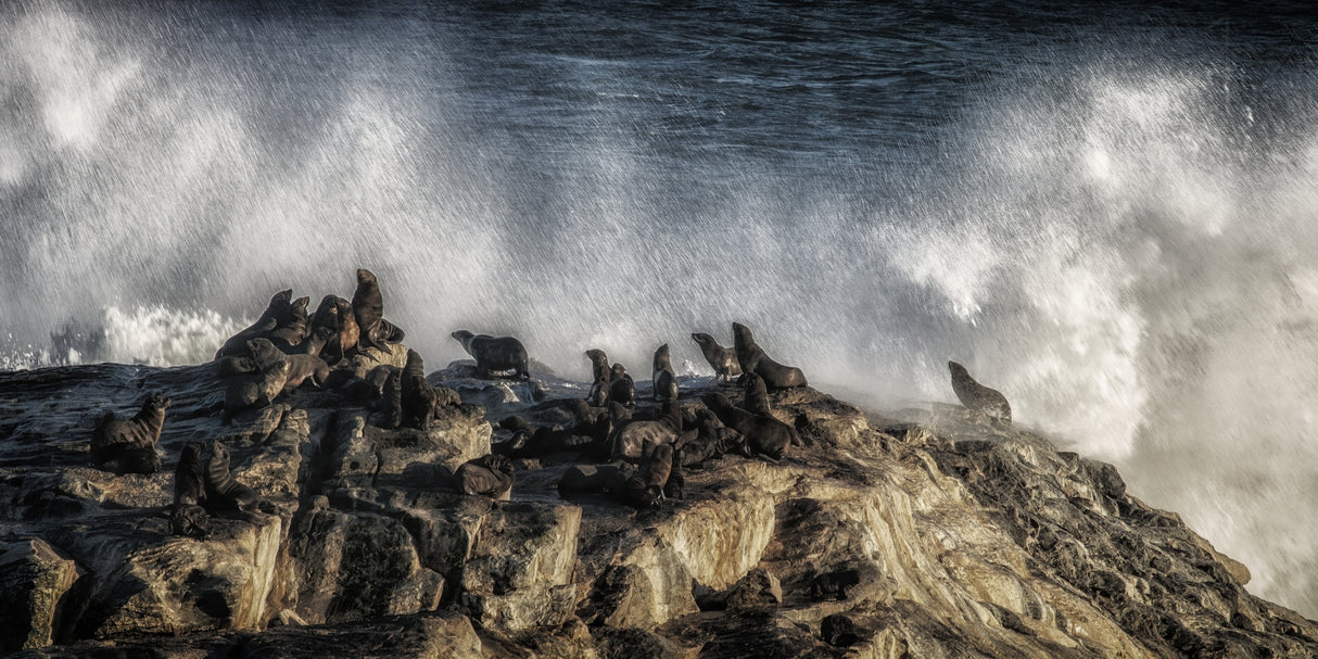 morning shower on diaz point Poster och Canvastavla