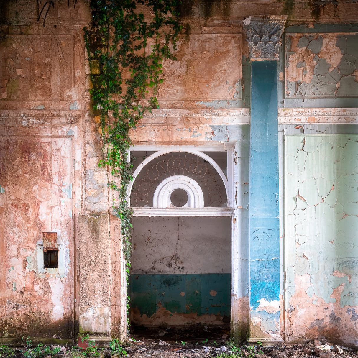 Overgrown Entrance Poster och Canvastavla