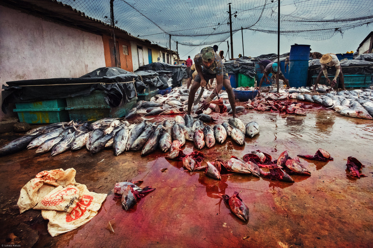 Fisherman's Life Poster och Canvastavla