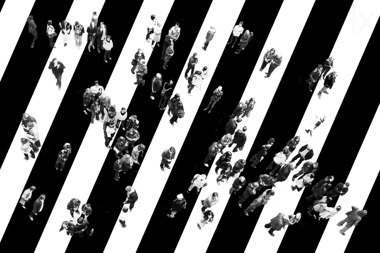 Find me... Poster och Canvastavla