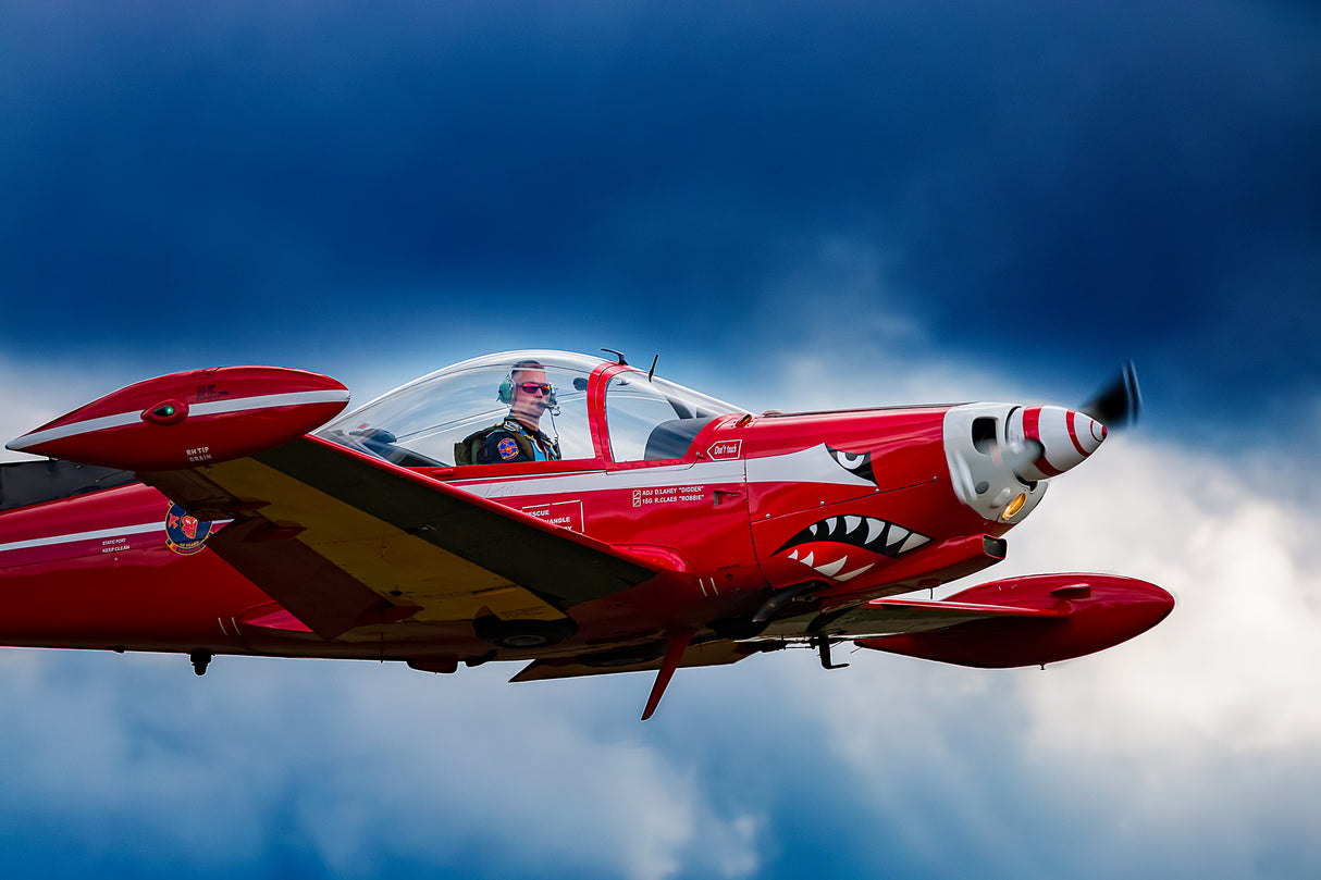 Red Devil Poster och Canvastavla