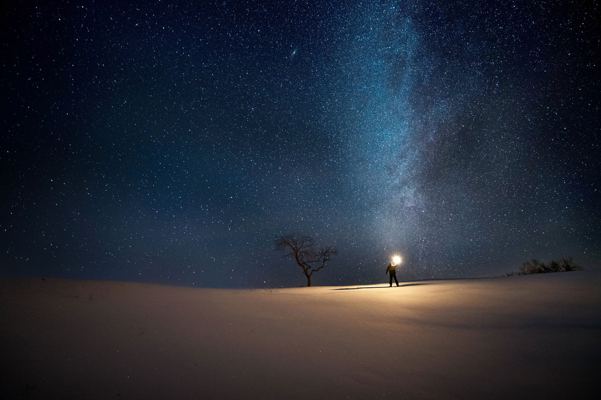 Starry sky in Inner Mongolia prairie Poster och Canvastavla