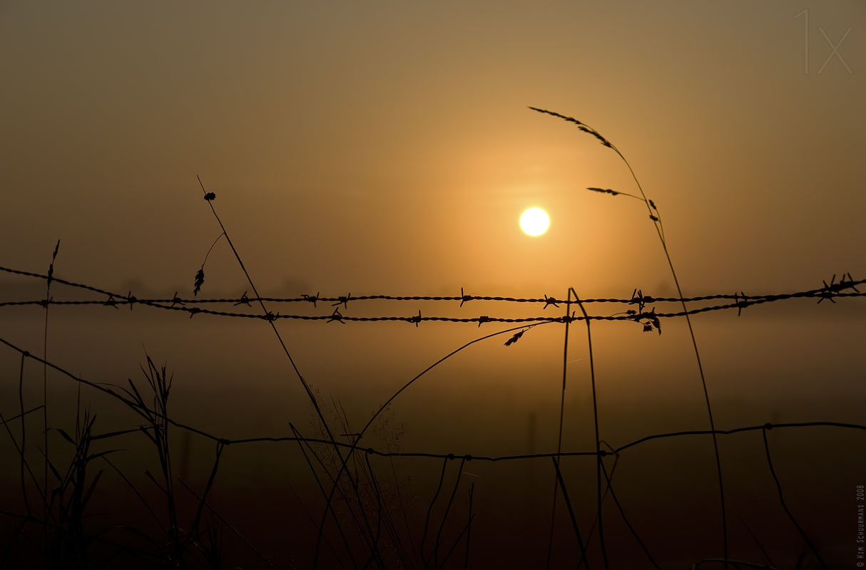 Morning Glow Poster och Canvastavla