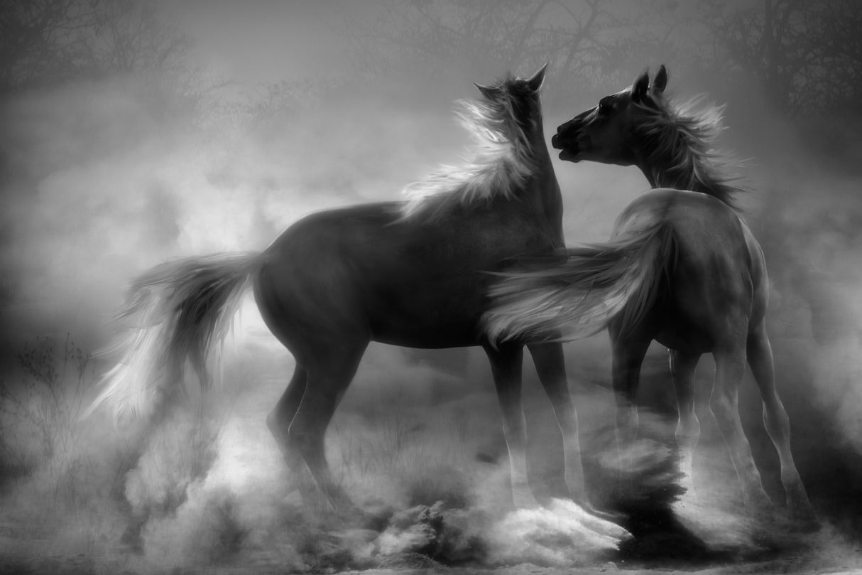 Provoking challenge... Poster och Canvastavla