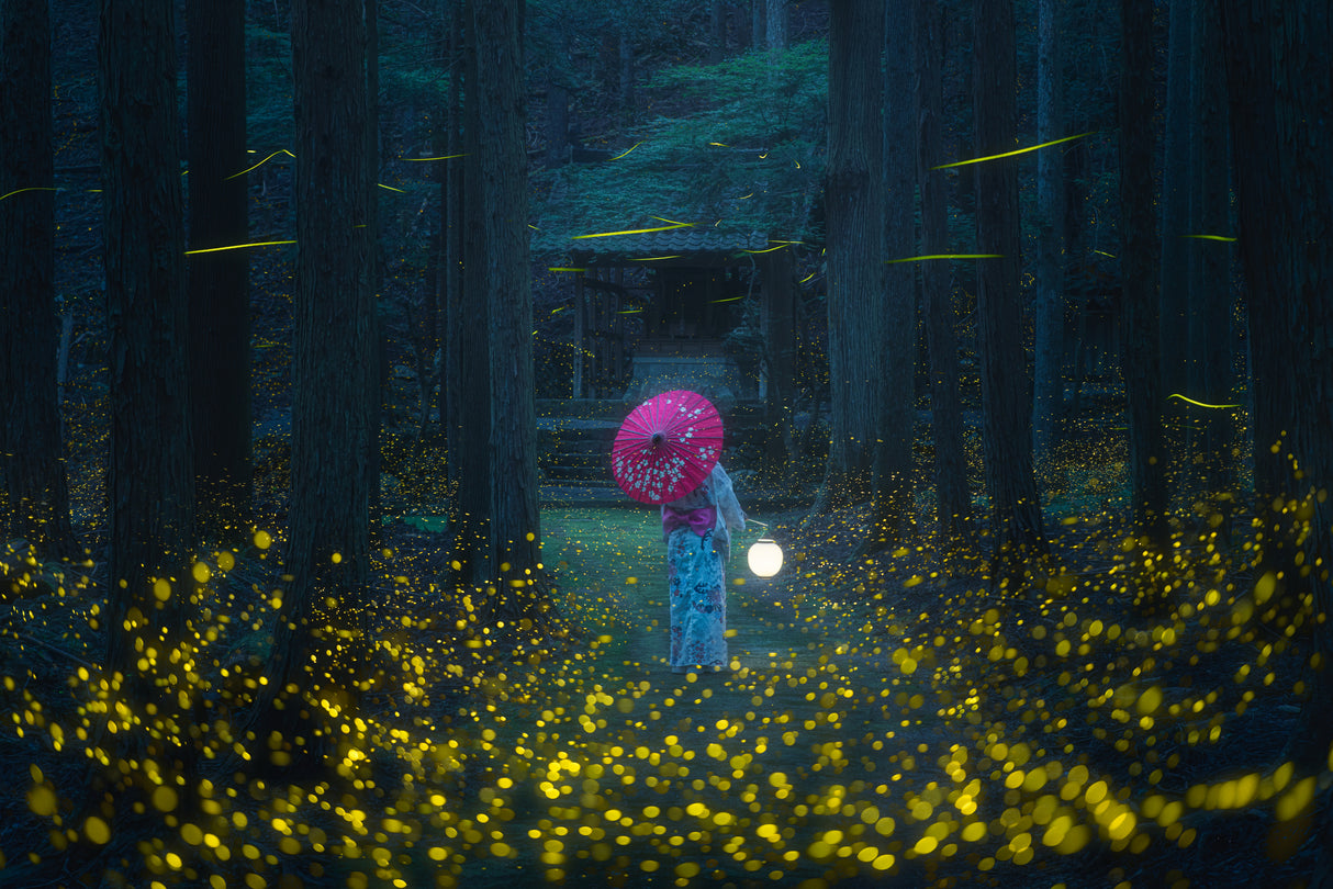 Japanese kimono and sea of fireflies Poster och Canvastavla