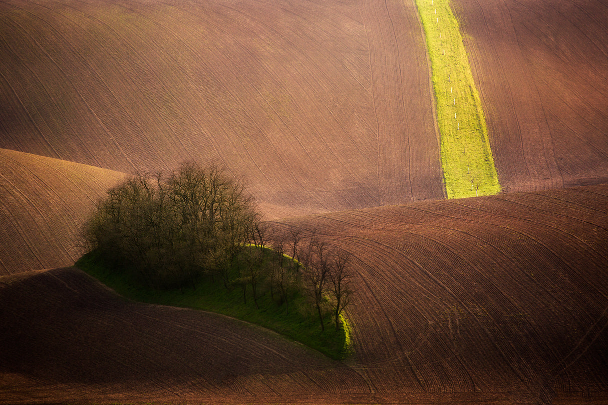 Rolling hills Poster och Canvastavla