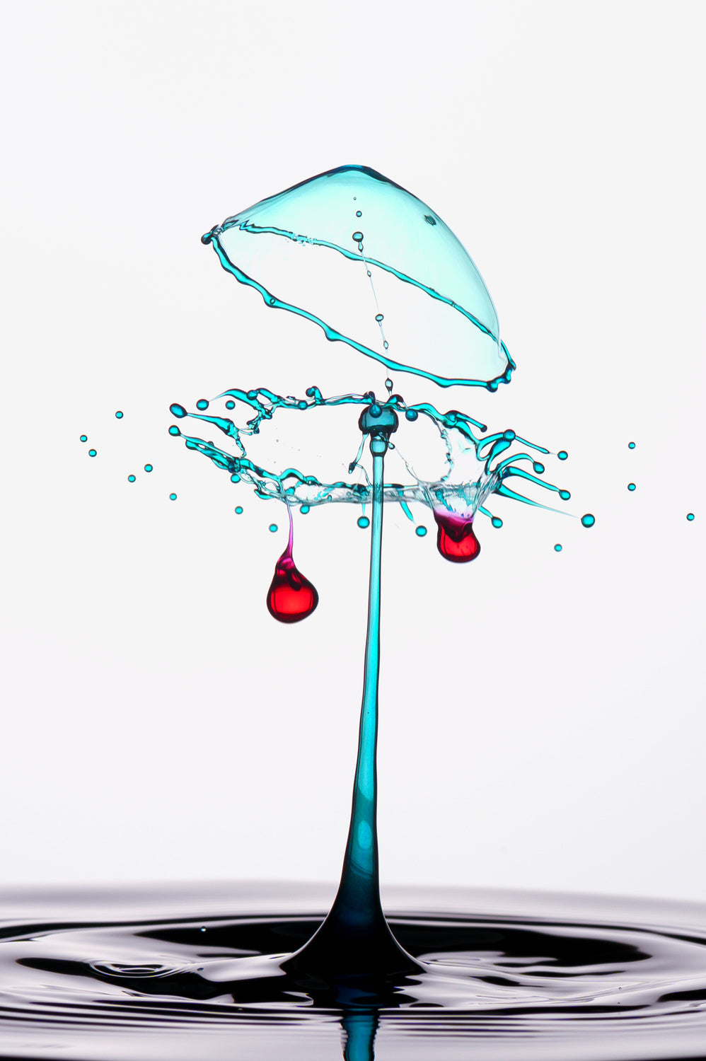 Blue Red Water Droplet Poster och Canvastavla