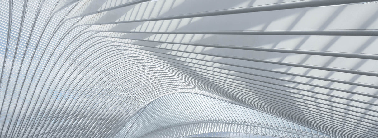 Guillemins Poster och Canvastavla