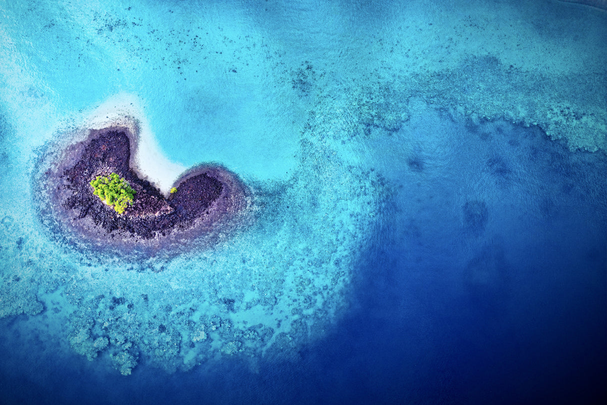 Biodiversity Poster och Canvastavla