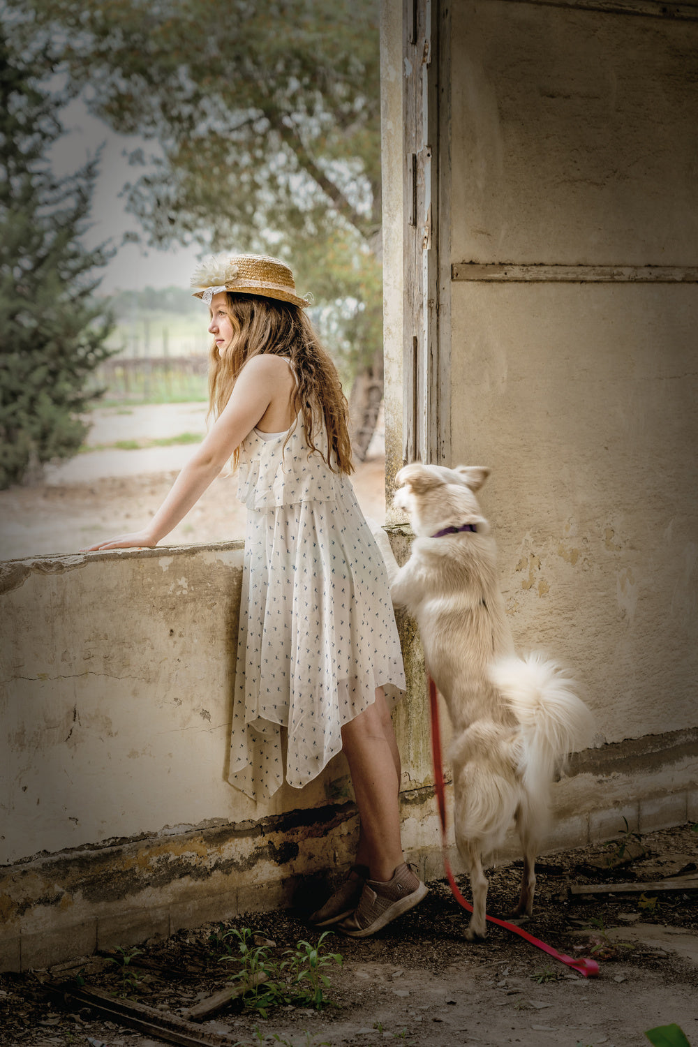looking outside Poster och Canvastavla